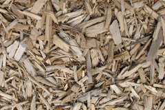 biomass boilers Cae Clyd